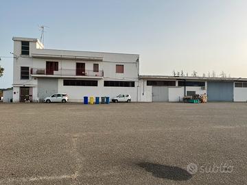 struttura commerciale