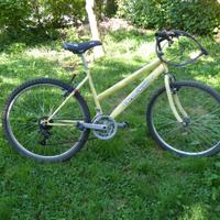 Bici MTB
