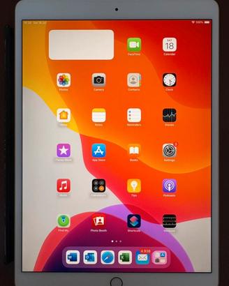 Apple Ipad Pro 10.5