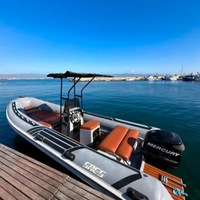 Motore Mercury Optimax 115 2010 400 ore