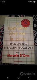 libro io speriamo che me la cavo