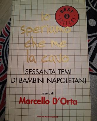 libro io speriamo che me la cavo