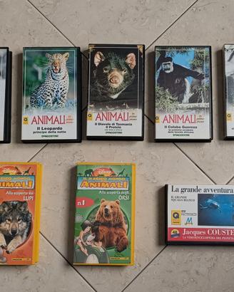 VHS Animali in Primo Piano & More 8 pezzi