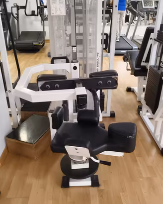 Technogym Rotary Torso macchina Addominali Profess