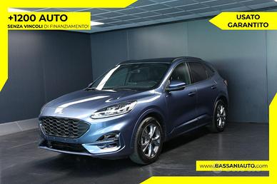 FORD Kuga 2.0 EcoBlue 120 CV aut. 2WD ST-Line