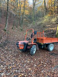 1992 goldoni transcar