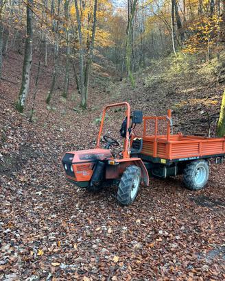 1992 goldoni transcar