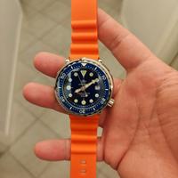 addiesdive 