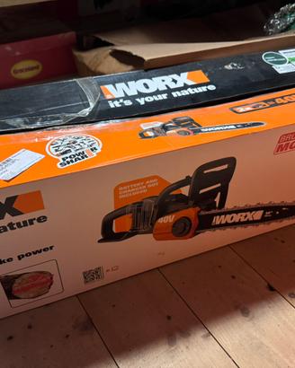 Worx motosega 40v