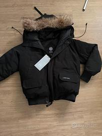 Canada Goose