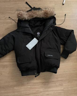 Canada Goose