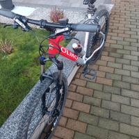 mtb Olmo 7005