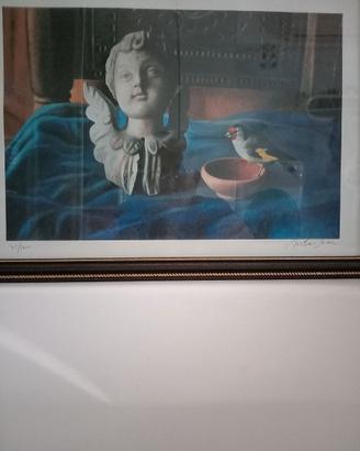serigrafia di Antonio Sciacca
