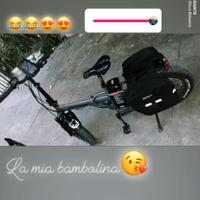 bicicletta elettrica 