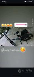 bicicletta elettrica 