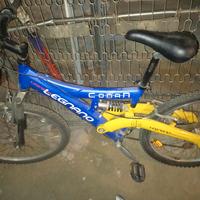 bici ragazzo 