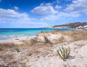 Terreno rustico a (2) due passi dal mare