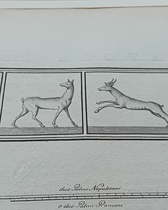 antiche stampe allegorichev1700 originali 