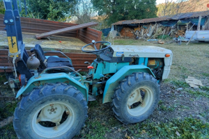 Trattorino Bertolini can carrello