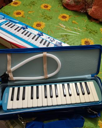 MELODICHE 32 TASTI ( NUOVE ) blu/rosa (14 pezzi)