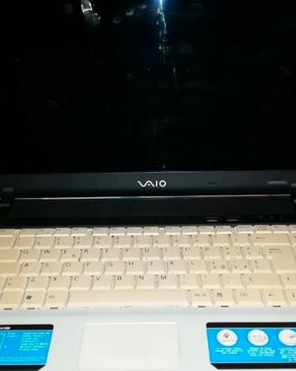 Sony Vaio