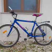 Mtb giant