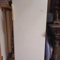  Freezer verticale