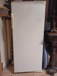  Freezer verticale