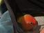 Immagine 1