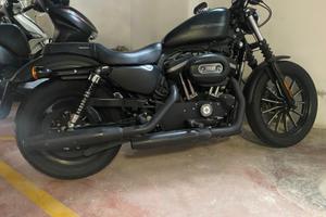 Harley davidson 883