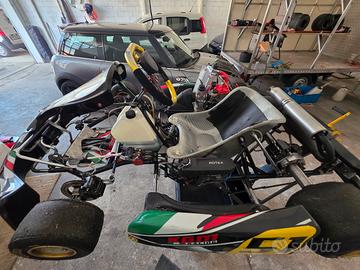 kart kz  motore  monomarcia rotax senior max evo