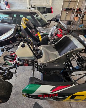 kart kz  motore  monomarcia rotax senior max evo