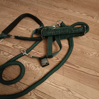 Cavezza per cavallo Equiline