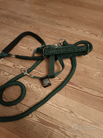 Cavezza per cavallo Equiline