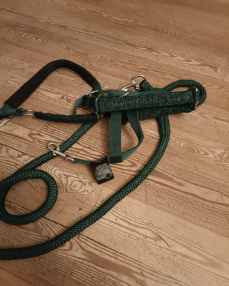 Cavezza per cavallo Equiline