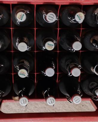 casse delle birre con bottiglie vuote 