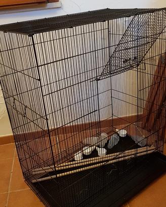 Gabbia canarini o pappagallini