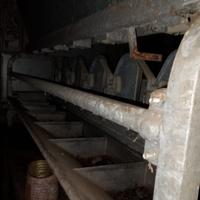 Catture ovini,caprini