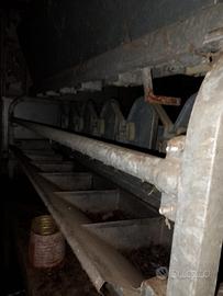 Catture ovini,caprini