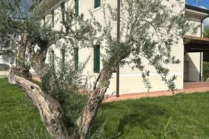 Oriago casa singola nuova costruzione