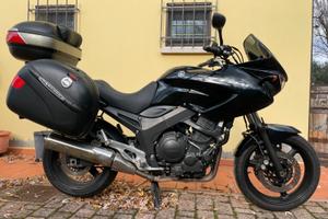 Yamaha TDM 900 - 2008
