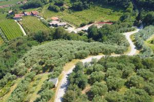 Terreno di 9500 m² a Montebello Vicentino