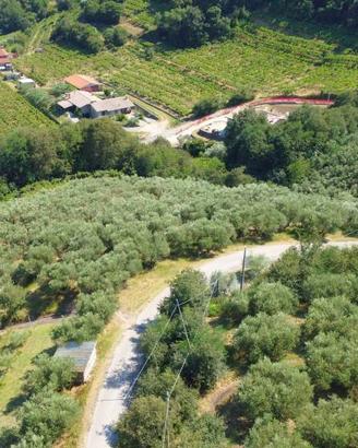 Terreno di 9500 m² a Montebello Vicentino