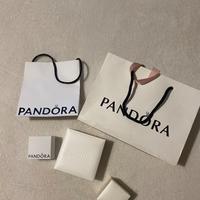 Bustine e porta gioielli Pandora