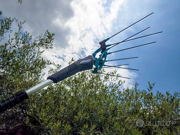 ABBACCHIATORE CAMPAGNOLA MASTER CON ASTA 185/270