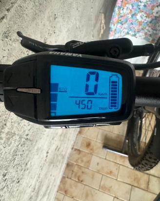Ebike solo 460 km.