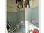 Immagine 19