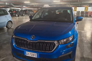 Kodiaq 