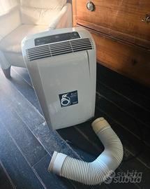 Pinguino condizionatore delonghi