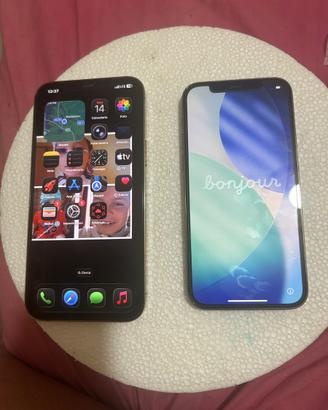 Iphon 12 pro max e Iphon 12 pro